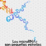 microRNAmatrix, la trama y el desenlace