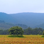 Ciencia con A, de Valencia