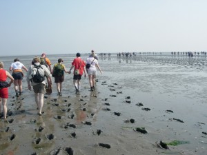 Mudflat_hiking