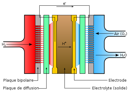 fuel cell